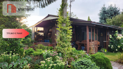 Piękna działka rekreacyjna z KW - domek ogród - Trzeciewnica  -
Kujawsko-Pomorskie Zdjęcie nr 14