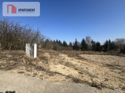 Urokliwana uboczu działka Dobino mediawarunki - Dobino  -
Zachodniopomorskie Zdjęcie nr 5