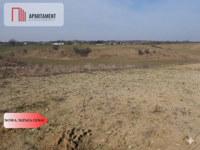 Piękna działka Bałdowo Nowa Cena - Bałdowo  -
Pomorskie Zdjęcie nr 5