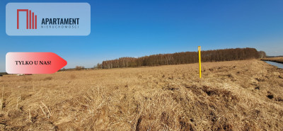 Działki budowlane - Kruszyn Krajeński - Kruszyn Krajeński  -
Kujawsko-Pomorskie Zdjęcie nr 4