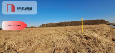 Działki budowlane - Kruszyn Krajeński - Kruszyn Krajeński  -
Kujawsko-Pomorskie Zdjęcie nr 5