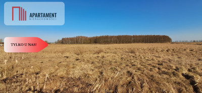 Działki budowlane - Kruszyn Krajeński - Kruszyn Krajeński  -
Kujawsko-Pomorskie Zdjęcie nr 7