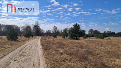 Działka 1170 m w Jaraczu   Blisko Natury - Jaracz  -
Wielkopolskie Zdjęcie nr 12