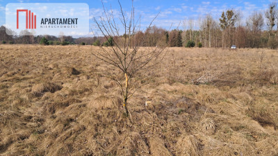 Działka 1170 m w Jaraczu   Blisko Natury - Jaracz  -
Wielkopolskie Zdjęcie nr 6