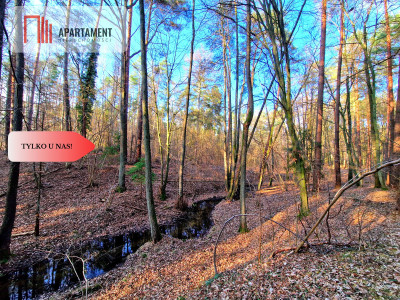 Działki budowlane 200m od rzeki Wdy Tylko u Nas - Wałkowiska  -
Kujawsko-Pomorskie Zdjęcie nr 11