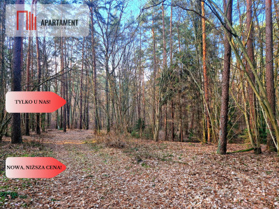 Działki budowlane 200m od rzeki Wdy Tylko u Nas - Wałkowiska  -
Kujawsko-Pomorskie Zdjęcie nr 12