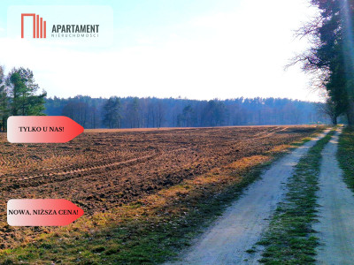 Działki budowlane 200m od rzeki Wdy Tylko u Nas - Wałkowiska  -
Kujawsko-Pomorskie Zdjęcie nr 6