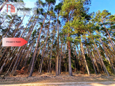 Działki budowlane 200m od rzeki Wdy Tylko u Nas - Wałkowiska  -
Kujawsko-Pomorskie Zdjęcie nr 8