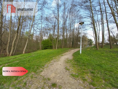 Piękna działka blisko jeziora i lasu - Wolice  -
Kujawsko-Pomorskie Zdjęcie nr 8