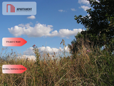 Osówka Kolonia - działka 674 mkw tanio - Osówka-Kolonia  -
Kujawsko-Pomorskie Zdjęcie nr 2