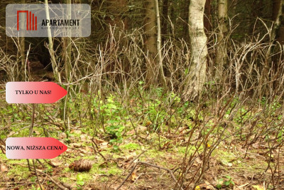 Osówka Kolonia - działka 674 mkw tanio - Osówka-Kolonia  -
Kujawsko-Pomorskie Zdjęcie nr 3