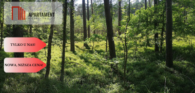 Osówka Kolonia - działka 674 mkw tanio - Osówka-Kolonia  -
Kujawsko-Pomorskie Zdjęcie nr 4