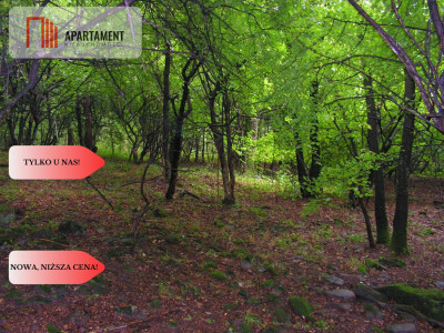 Osówka Kolonia - działka 674 mkw tanio - Osówka-Kolonia  -
Kujawsko-Pomorskie Zdjęcie nr 5