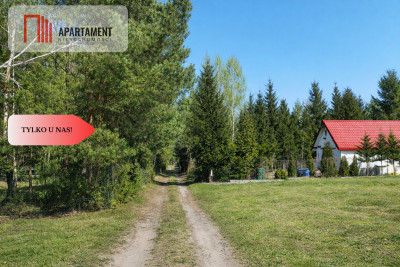 Działka z linią brzegową i własnym lasem - Ostroróg  -
Zachodniopomorskie Zdjęcie nr 10