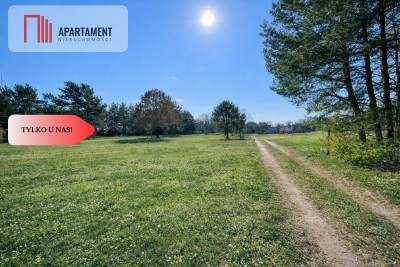 Działka z linią brzegową i własnym lasem - Ostroróg  -
Zachodniopomorskie Zdjęcie nr 12