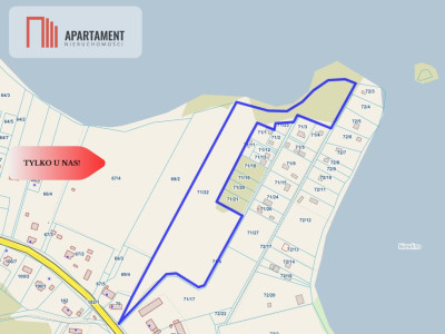 Działka z linią brzegową i własnym lasem - Ostroróg  -
Zachodniopomorskie Zdjęcie nr 14