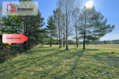 Działka z linią brzegową i własnym lasem - Ostroróg  -
Zachodniopomorskie Zdjęcie nr 8