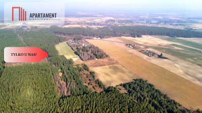 Ładne działki z warunkami zabudowy w dobrej cenie - Błądzim  -
Kujawsko-Pomorskie Zdjęcie nr 12