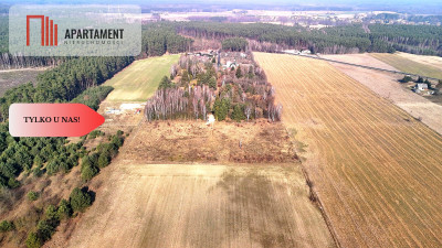 Ładne działki z warunkami zabudowy w dobrej cenie - Błądzim  -
Kujawsko-Pomorskie Zdjęcie nr 13