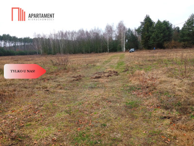 Ładne działki z warunkami zabudowy w dobrej cenie - Błądzim  -
Kujawsko-Pomorskie Zdjęcie nr 2