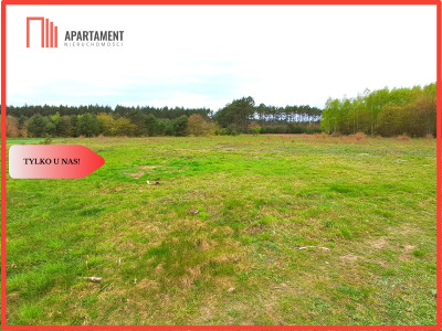 Ładne działki z warunkami zabudowy w dobrej cenie - Błądzim  -
Kujawsko-Pomorskie Zdjęcie nr 3