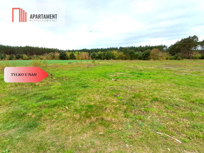 Ładne działki z warunkami zabudowy w dobrej cenie - Błądzim  -
Kujawsko-Pomorskie Zdjęcie nr 4