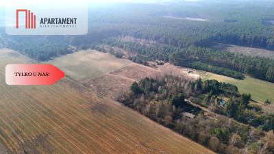Ładne działki z warunkami zabudowy w dobrej cenie - Błądzim  -
Kujawsko-Pomorskie Zdjęcie nr 9