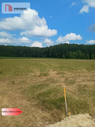 Piękna działka na Mazurach  500m do jeziora - Jerzwałd  -
Warmińsko-Mazurskie Zdjęcie nr 5