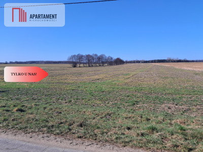 DZIAŁKI MIESZKANIOWO- USŁUGOWE - Wiktorówko  - Wielkopolskie