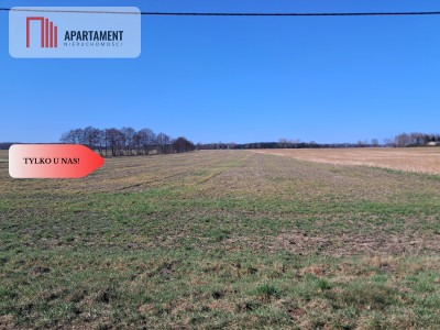 DZIAŁKI MIESZKANIOWO- USŁUGOWE - Wiktorówko  -
Wielkopolskie Zdjęcie nr 4