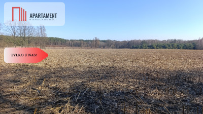 Grunt rolnysadpasiekalokata kapitałuprzestrzeń - Bukowice  - Dolnośląskie