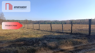 Grunt rolnysadpasiekalokata kapitałuprzestrzeń - Bukowice  -
Dolnośląskie Zdjęcie nr 2