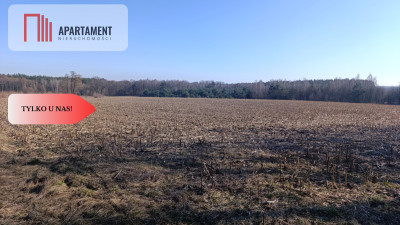 Grunt rolnysadpasiekalokata kapitałuprzestrzeń - Bukowice  -
Dolnośląskie Zdjęcie nr 3