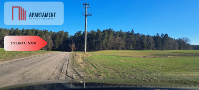 Działki przy lesie spokój i cisza - Sucumin  -
Pomorskie Zdjęcie nr 2