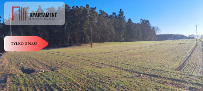 Działki przy lesie spokój i cisza - Sucumin  -
Pomorskie Zdjęcie nr 3