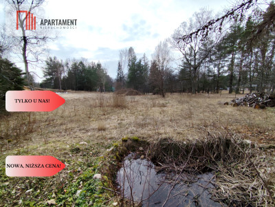 Duża działka nad jeziorem warunki zabudowy - Trzmielewo  -
Pomorskie Zdjęcie nr 10