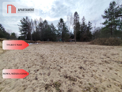 Duża działka nad jeziorem warunki zabudowy - Trzmielewo  -
Pomorskie Zdjęcie nr 12