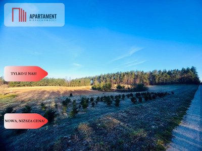 Działki budowlane Spokojna Okolica 40 zł za metr - Czarne Małe  -
Pomorskie Zdjęcie nr 2