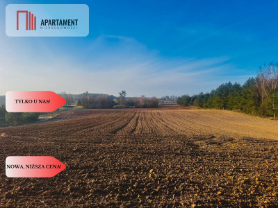 Działki budowlane Spokojna Okolica 40 zł za metr - Czarne Małe  -
Pomorskie Zdjęcie nr 3