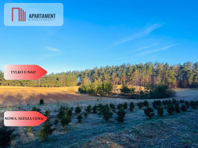 Działki budowlane Spokojna Okolica 40 zł za metr - Czarne Małe  -
Pomorskie Zdjęcie nr 4