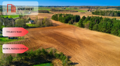 Działki budowlane Spokojna Okolica 40 zł za metr - Czarne Małe  -
Pomorskie Zdjęcie nr 7