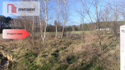 1200mDolina BaryczyNowe OsiedlemediaMPZ - Wszewilki  -
Dolnośląskie Zdjęcie nr 5