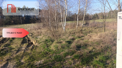 1200mDolina BaryczyNowe OsiedlemediaMPZ - Wszewilki  -
Dolnośląskie Zdjęcie nr 6