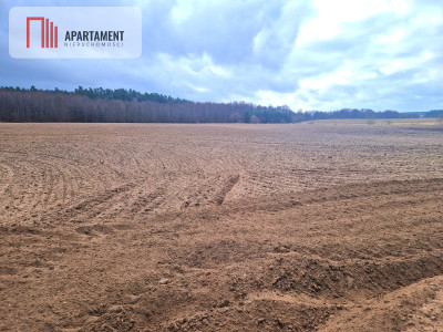 Działki w pobliżu rzeki Prusiny idealne pod dom - Śliwice  -
Kujawsko-Pomorskie Zdjęcie nr 3