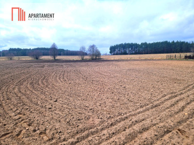 Działki w pobliżu rzeki Prusiny idealne pod dom - Śliwice  -
Kujawsko-Pomorskie Zdjęcie nr 8