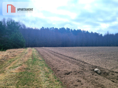 Działki w pobliżu rzeki Prusiny idealne pod dom - Śliwice  -
Kujawsko-Pomorskie Zdjęcie nr 9