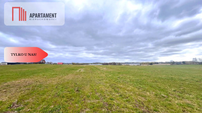 4 działki rekreacyjne 300m2 od jeziora - Rodowo Małe  -
Pomorskie Zdjęcie nr 7