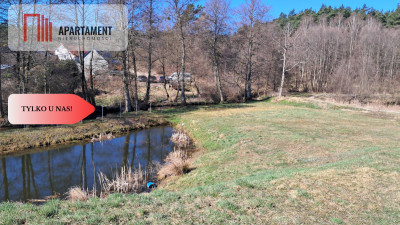 Duża Działka z domem w budowie z dostępem do rzeki - Płytnica  -
Wielkopolskie Zdjęcie nr 3