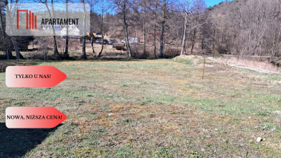 Duża Działka z domem w budowie z dostępem do rzeki - Płytnica  -
Wielkopolskie Zdjęcie nr 4