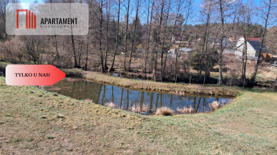 Duża Działka z domem w budowie z dostępem do rzeki - Płytnica  -
Wielkopolskie Zdjęcie nr 5